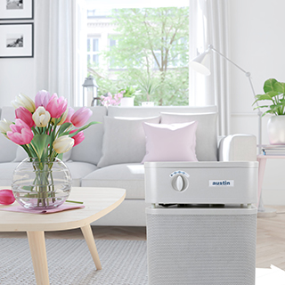 Austin Air Cleaner home smoke eater setup in the living room of a residential space.